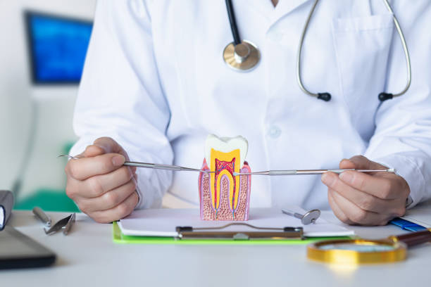 Best Emergency Dental Care for Abscessed Tooth in East Moline, IL